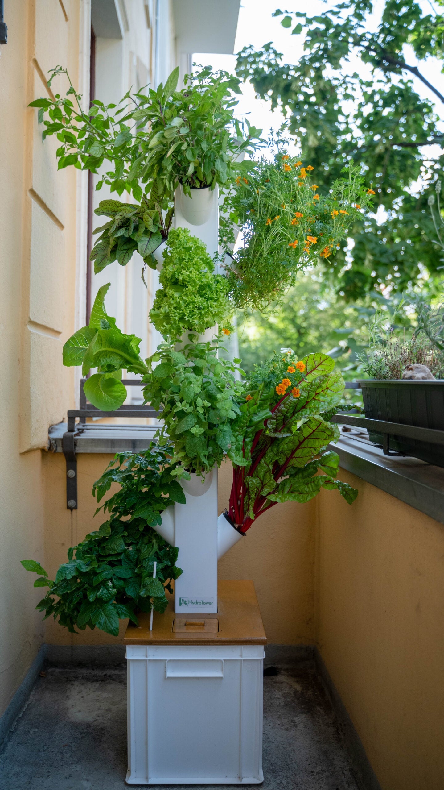 Viel Gemüse und Kräuter