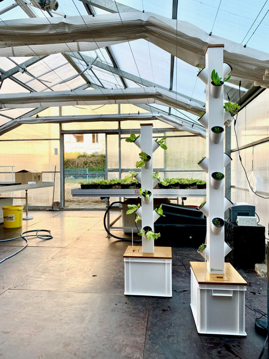 Show-Room am Potsdamer Platz