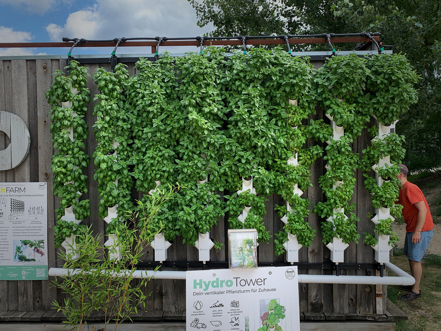 Platzsparend, effektiv, wassersparend, effizient, hohe Erräge, wenig Arbeit, flexibel, Selbstversorgung mi Basilikum und Kräutern