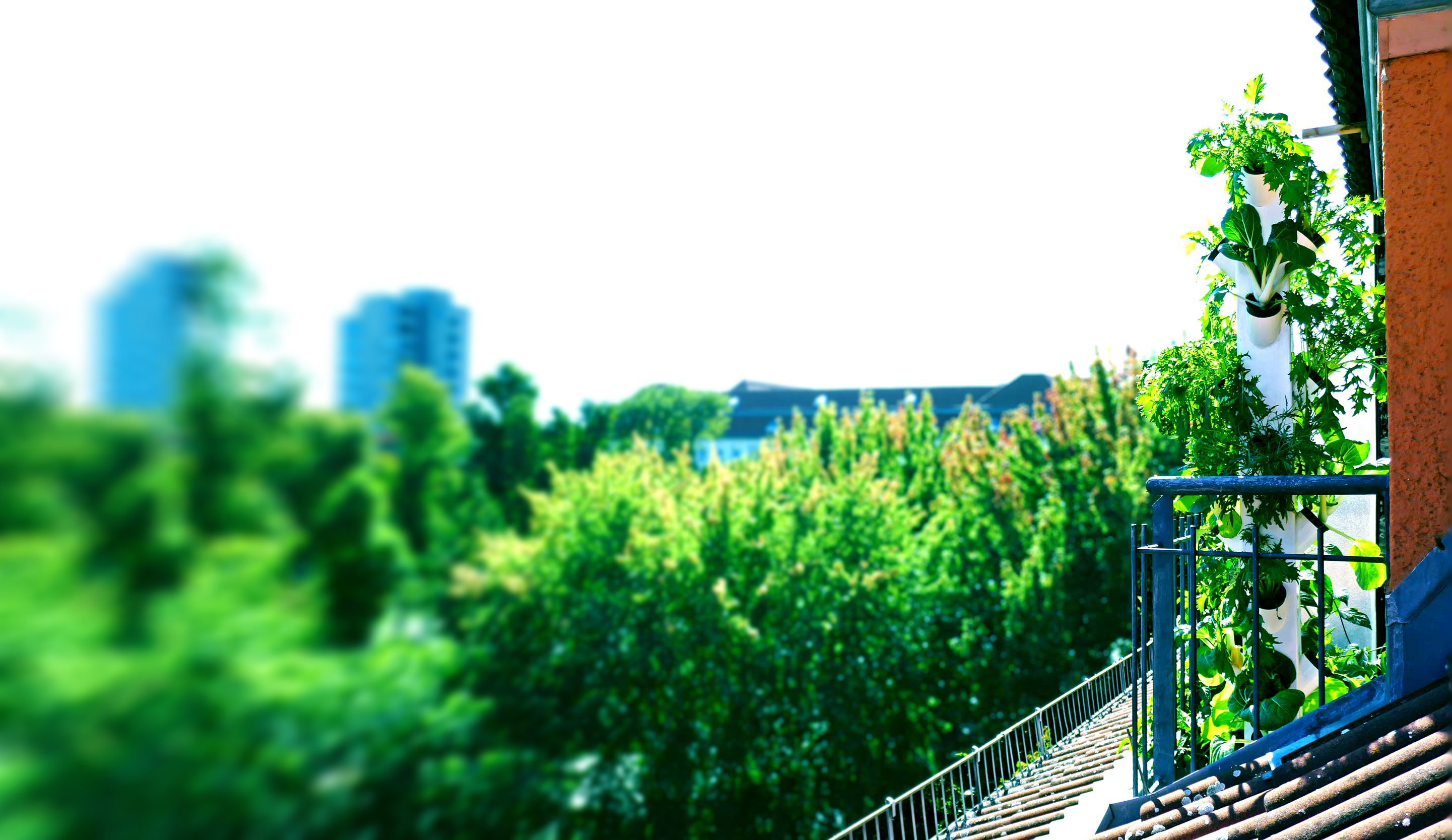 Für Balkon, Terrasse und im Garten ist das hydroponische System platzsparend
