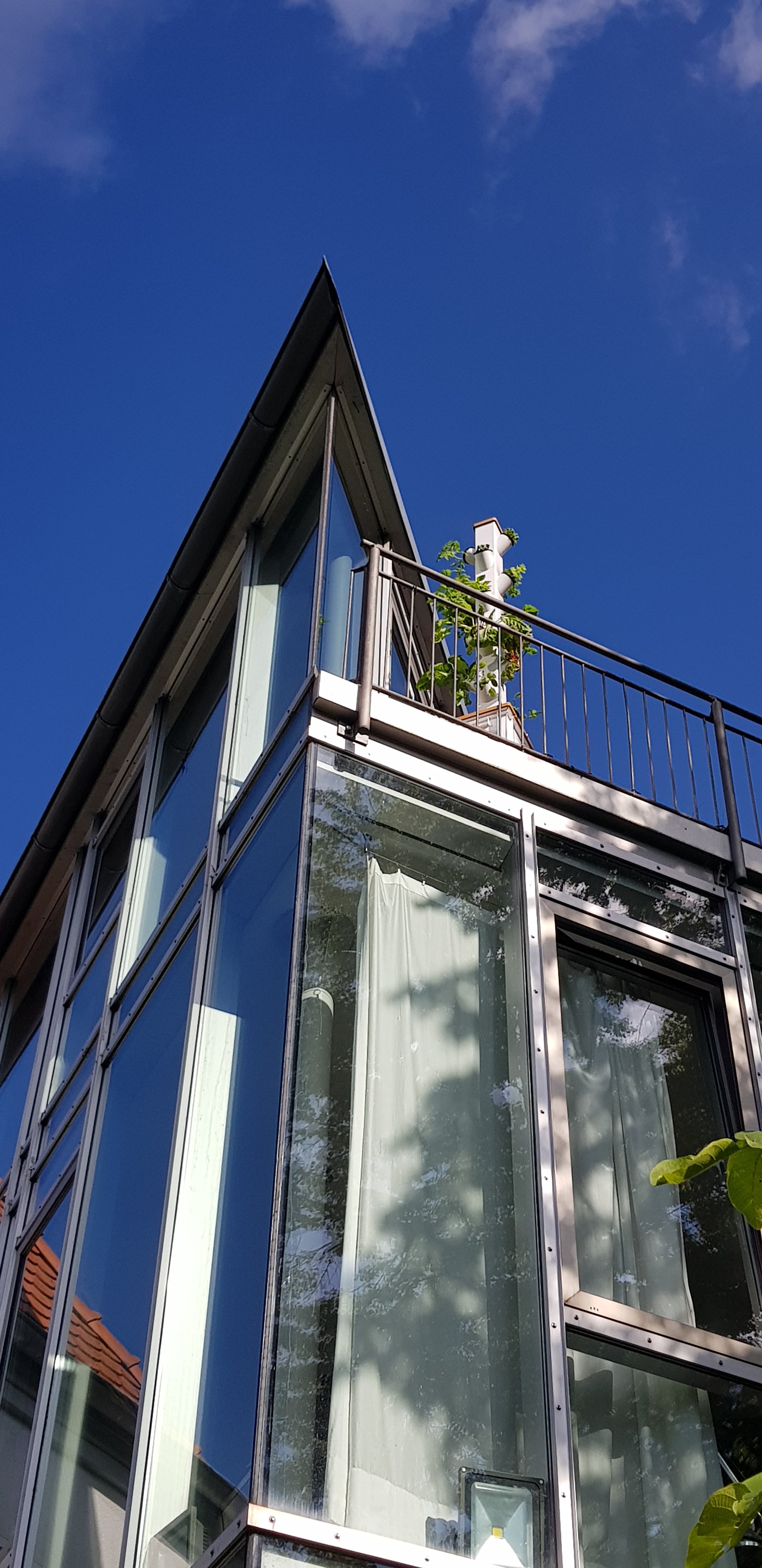 hydroponisches System extrem flexibel auf Dachterrasse oder Balkon