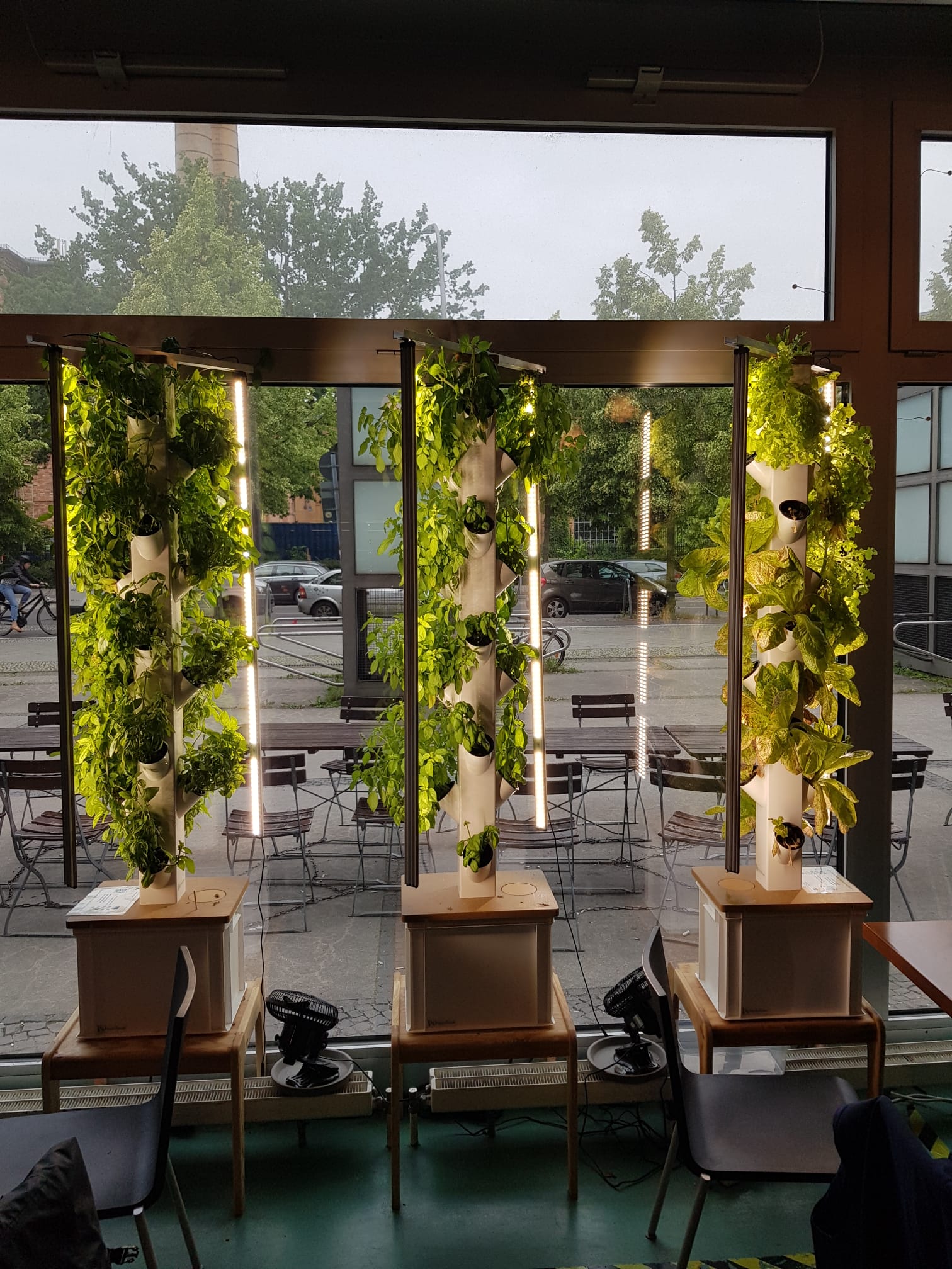 Cafeteria der TU Berlin Indoor Farming mit hydroponischen System und LED Beleuchtung